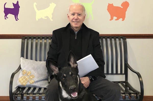 Joe Biden and his dog, Major.