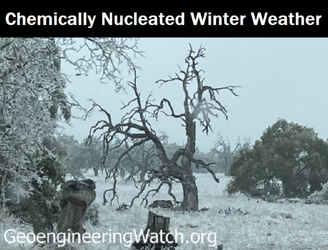 Chemically Nucleated Winter Weather: Are Texas and Other States Victims of Climate Engineering Operations?